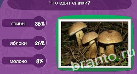Игра Матрёшка подсказки Уровень 258