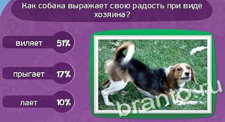 Матрёшка прохождение игры Уровень 262