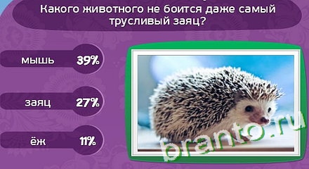 Прохождение игры Матрёшка Уровень 264