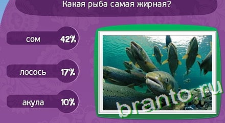 решения для игры Матрёшка Уровень 268