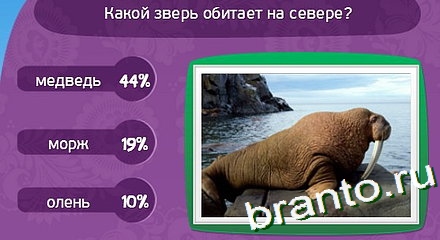 решебник на игру Матрёшка Уровень 291