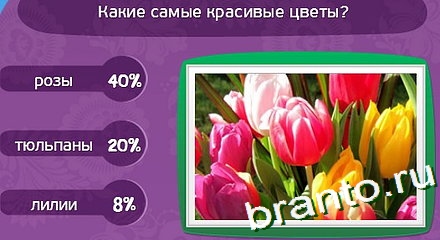 Игра Матрёшка подсказки Уровень 298