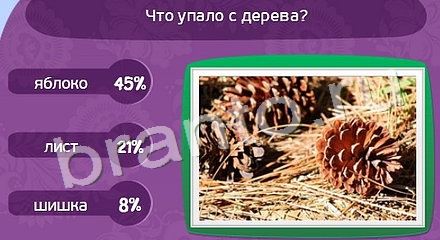 прохождение на игру Матрёшка Уровень 741