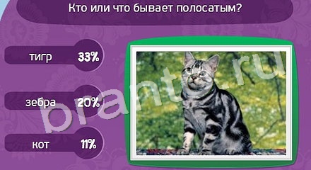 решения для игры Матрёшка Уровень 788