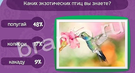 ответы на игру Матрёшка Уровень 793