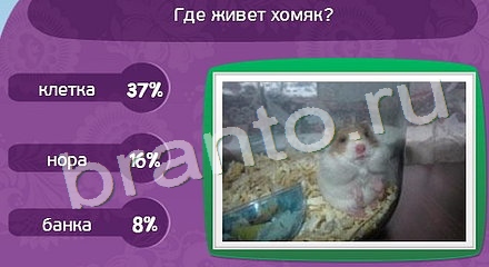 ответы на игру Матрёшка Уровень 799