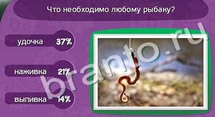 ответы Матрёшка Уровень 905