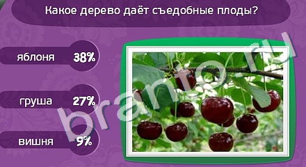 ответы на игру Матрёшка Уровень 916