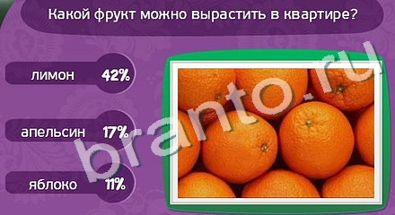 ответы на игру Матрёшка Уровень 918