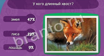 Подсказки на игру Матрёшка Уровень 922