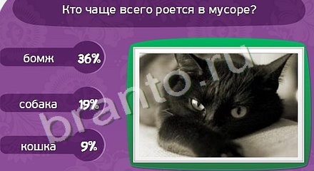 ответы на игру Матрёшка Уровень 955