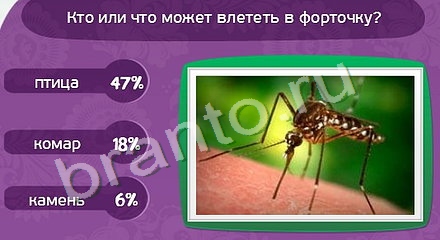 ответы на игру Матрёшка Уровень 957