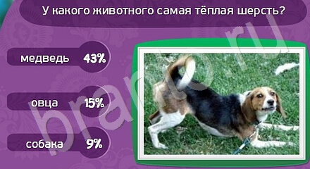 ответы Матрёшка в одноклассниках Уровень 1026