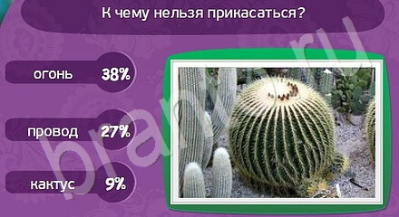 ответы на игру Матрёшка Уровень 1033