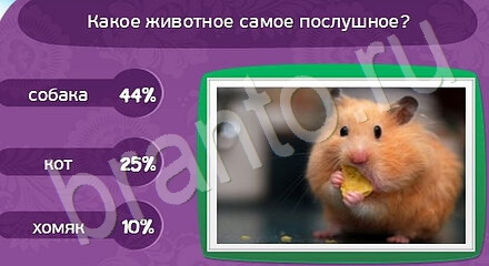 ответы на игру Матрёшка Уровень 1117