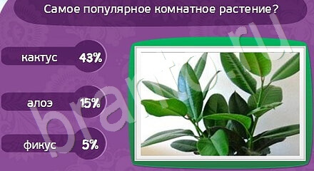 ответы на игру Матрёшка Уровень 1119