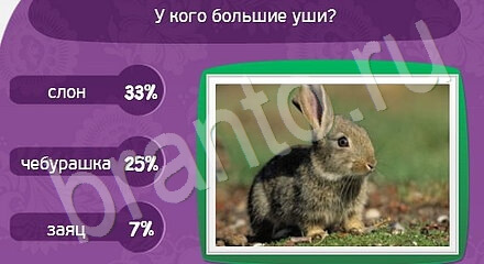 Матрёшка подсказки Уровень 1129