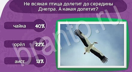 Игра Матрёшка прохождение Уровень 1140