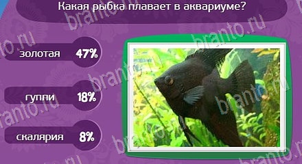 Матрёшка прохождение игры Уровень 1422