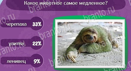 Игра Матрёшка ответы Уровень 1457