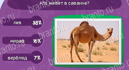 прохождение на игру Матрёшка Уровень 1461