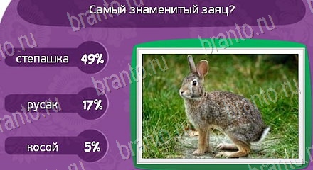 Матрёшка прохождение игры Уровень 1502