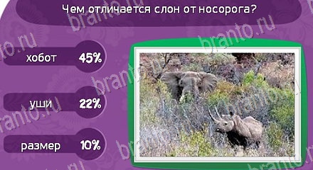 ответы на игру Матрёшка Уровень 1555