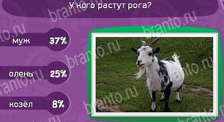 решения для игры Матрёшка Уровень 1588