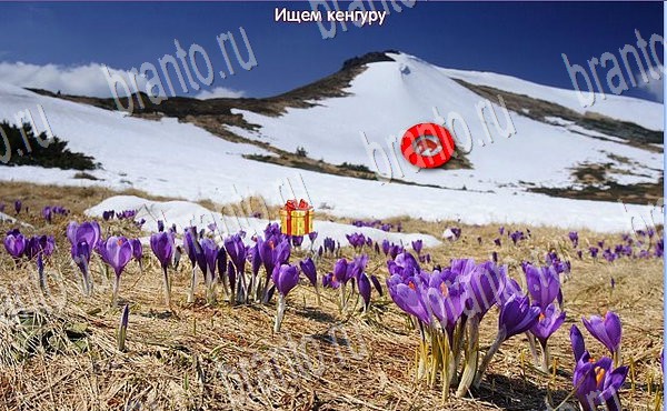 Помощь на игру ВК Новогодние подарки уровень 25