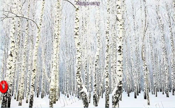 Новогодние подарки игра ответы в одноклассниках уровень 28