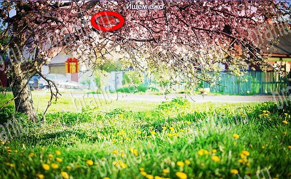 Игра Новогодние подарки ответы одноклассники, вк Уровень 58