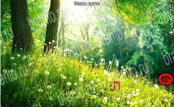 игра Новогодние подарки помощь одноклассники уровень 60