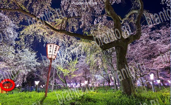 Решения на игру Новогодние подарки Эпизод №4 Уровень 64