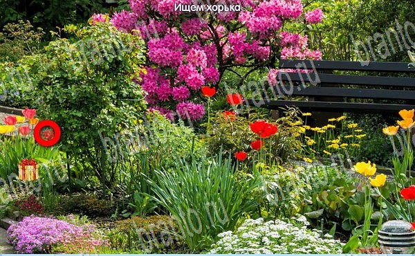 ответы на игру в одноклассниках Новогодние подарки Уровень 67