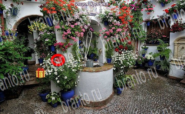 Новогодние подарки подсказки в контакте Уровень 70