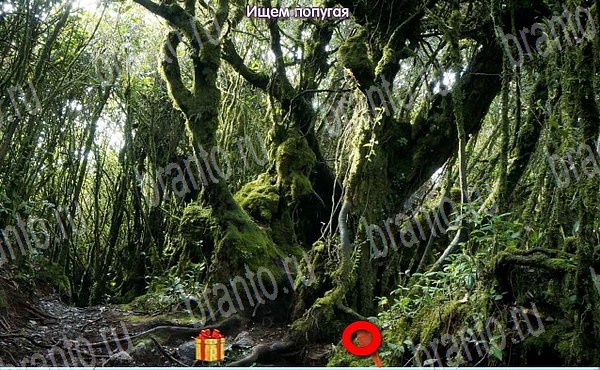 Подсказки на игру Новогодние подарки Эпизод №5 Уровень 83