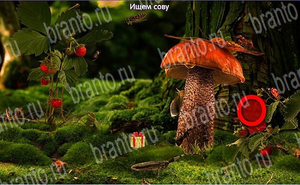 Решения на игру Новогодние подарки Эпизод №5 Уровень 84