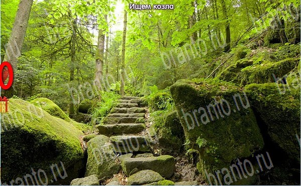 Новогодние подарки подсказки в контакте Уровень 90