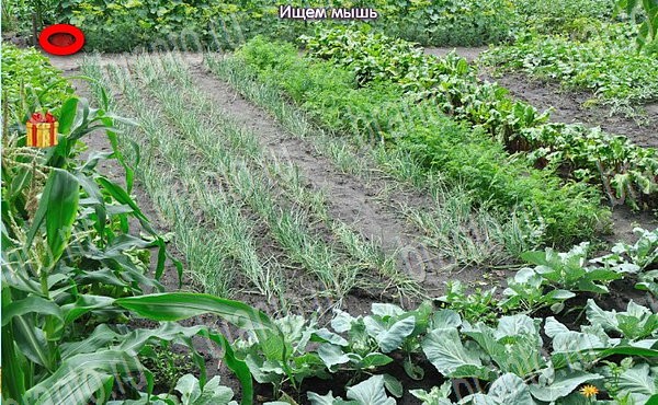 Новогодние подарки ответы в картинках в контакте Уровень 97