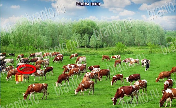 игра Новогодние подарки помощь одноклассники уровень 100