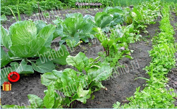 ответы на игру Новогодние подарки в одноклассниках Уровень 101