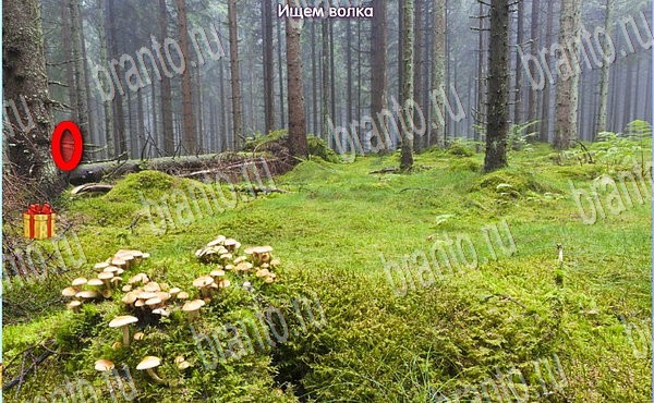 ответы на игру Новогодние подарки в одноклассниках Уровень 102