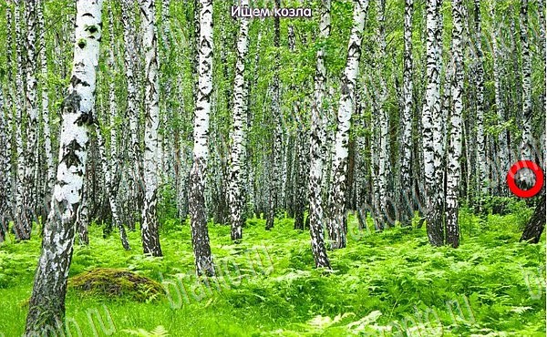 Решения на игру Новогодние подарки Эпизод №6 Уровень 104