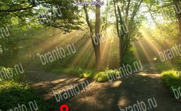 решебник на игру Новогодние подарки Уровень 112