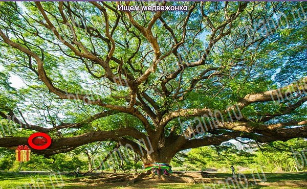 ответы на игру Новогодние подарки в одноклассниках Уровень 121
