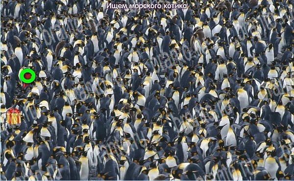 Подсказки на игру Новогодние подарки Эпизод №8 Уровень 143