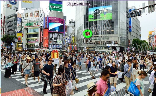 ответы на игру в одноклассниках Новогодние подарки Уровень 147