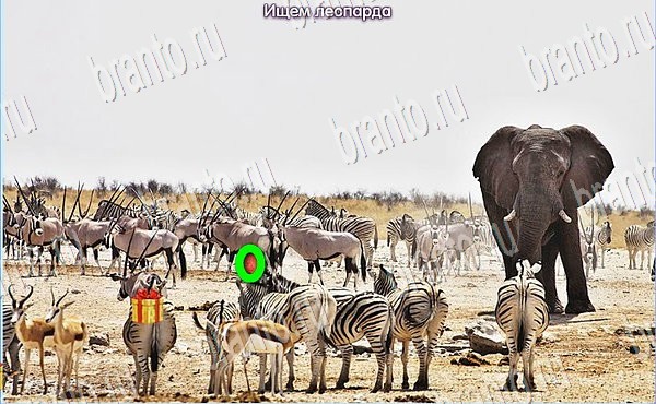 Новогодние подарки ответы в картинках в контакте Уровень 157