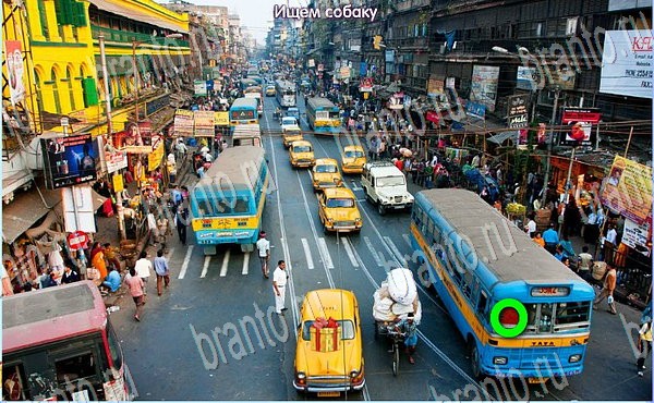 Игра Новогодние подарки подсказки вк Уровень 159