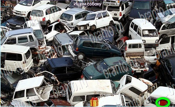 Одноклассники Новогодние подарки ответы Уровень 169